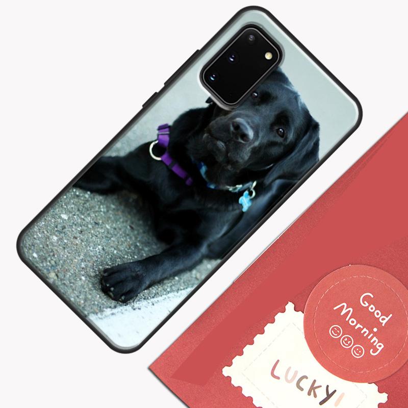 Black labrador retriever Animal Dog Phone Case For Samsung Galaxy S26 S25 S24 S20 S21 S22 S23 Ultra S10 Plus S25 FE Cover Shell