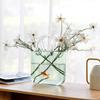 Trendige Glas-Handtaschen-Vase, Kreative Blasen-Fischglas-Blumenvase für Tischplatte, Hydroponische & Dekorative Blumen