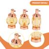 Dollhouse Accessory Set, Mini Models, Perfume Bottles, Photo Props, Tiny Ornaments, Miniature