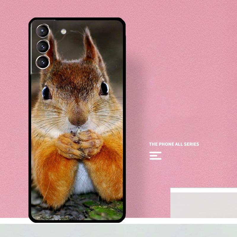 Squirrel Phone Case For Samsung Galaxy S25 S26 Ultra S20 S21 S22 S23 S24 Plus S10 S25 FE Cover Coque
