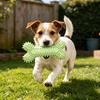 Hundeleckerli-Spender-Spielzeug Stacheliger Knochen Hundekauspielzeug Hundezahnreinigungspielzeug für Welpen Zahnungsangst Linderung