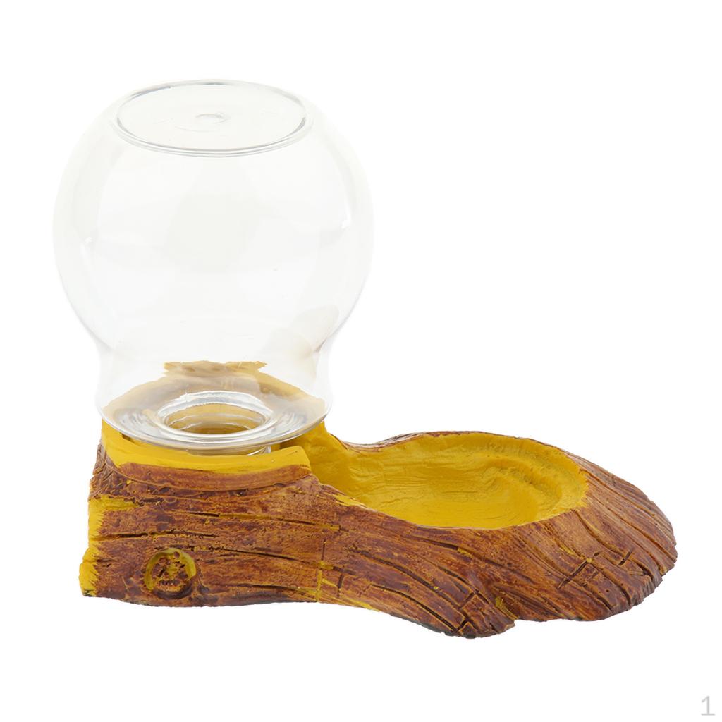 Firm & Durable Pet Reptile Turtle Waterer Water Dish
