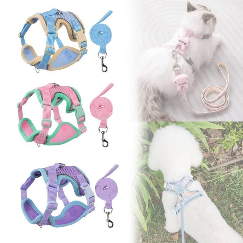 Klassische Colorblock-Haustierleine mit doppellagigem Netzstoff für Katzen und zum Verschenken