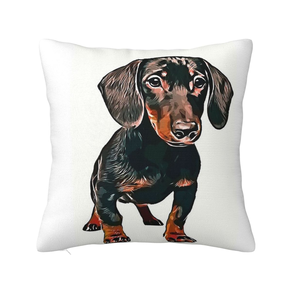 Dachshund Dog Pupy Pet Square Pillow Case Wiener Sausage Doxie Cushion Covers Funny Zippered Decor Pillowcover for Home 4040cm 30x30cm 12x12in