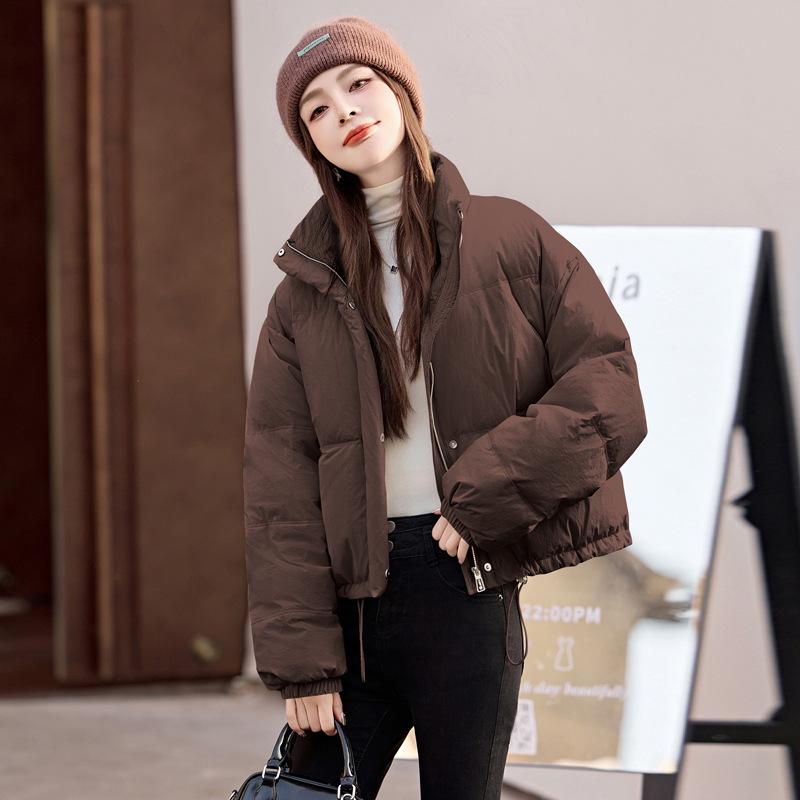 2024 Winter Korean-Inspired Loose Petite Stand-Up Collar Down Jacket for Women