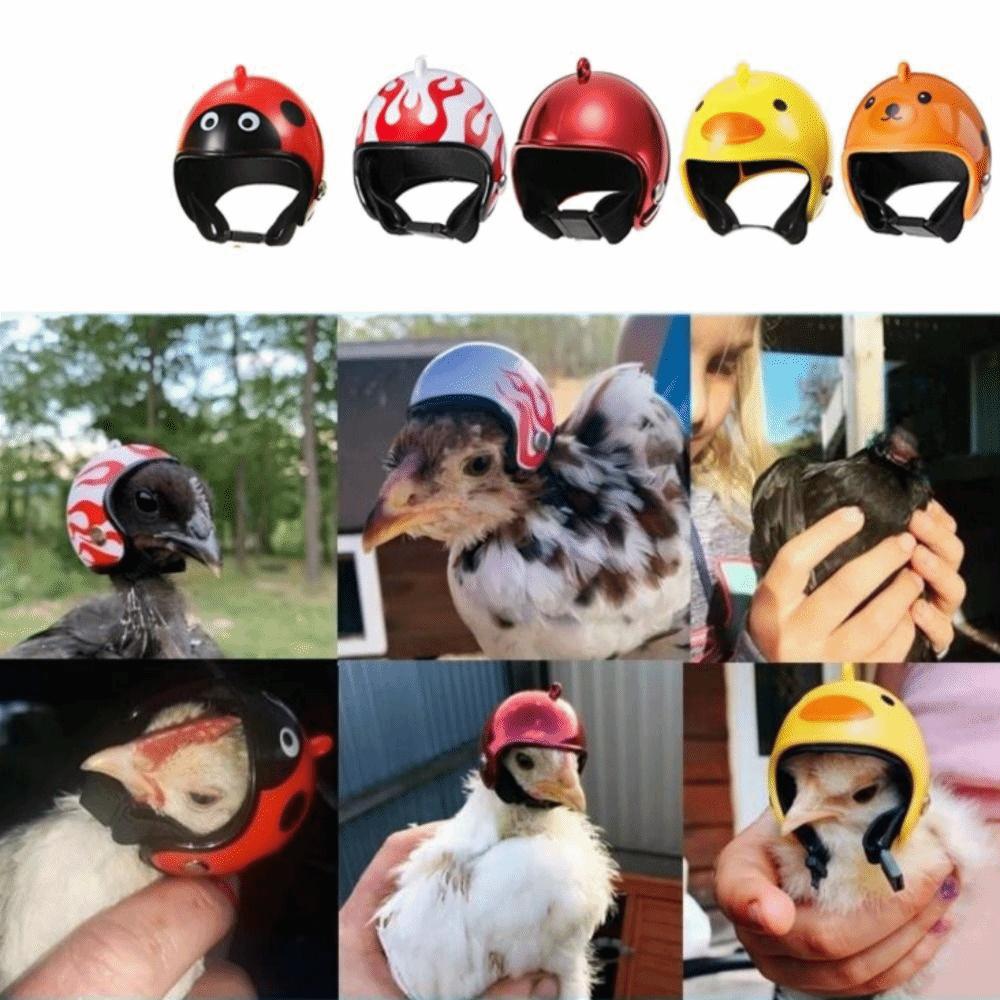 Mini Pet Chicken Helmet Cartoon Small Pet Hard Hat Pet Protective Headgear  For Bird Quail Pigeon