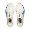 Li Ning Running Shoes Unisex Low Top ARPW009-20