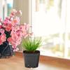 Starter Pots For Planting 50PCS Reusable Black Square Seedling Pots Nursery Pot With Drainage Holes Gardening Kit For Plants