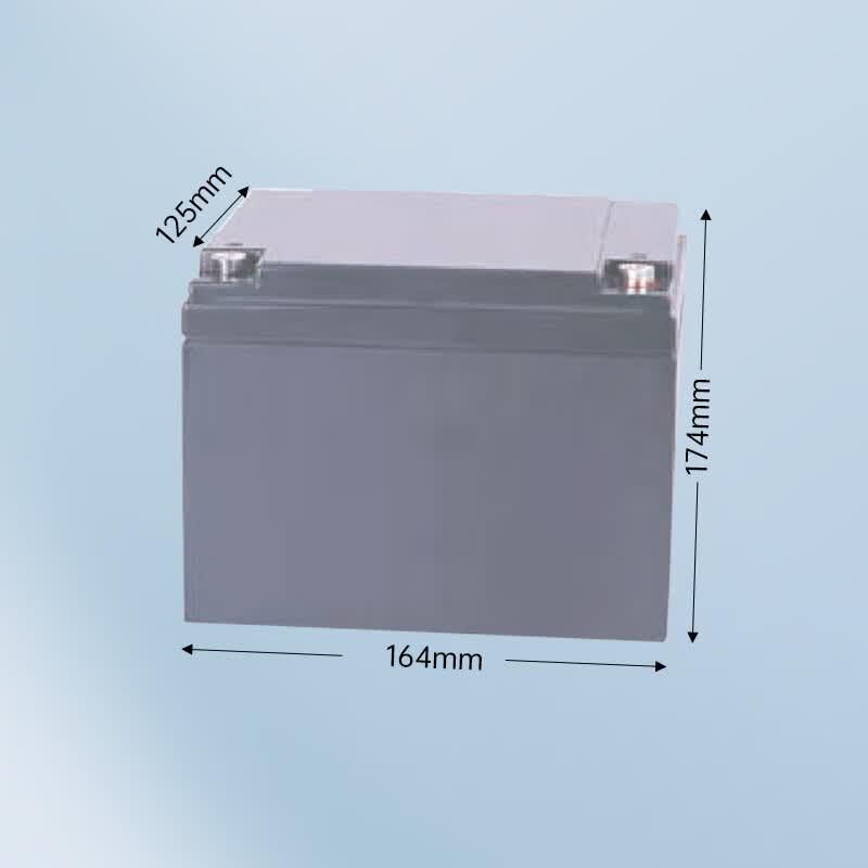 Leoch 12V 24Ah UPS Maintenance-Free Lead-Acid Battery CN plug (adapter included)