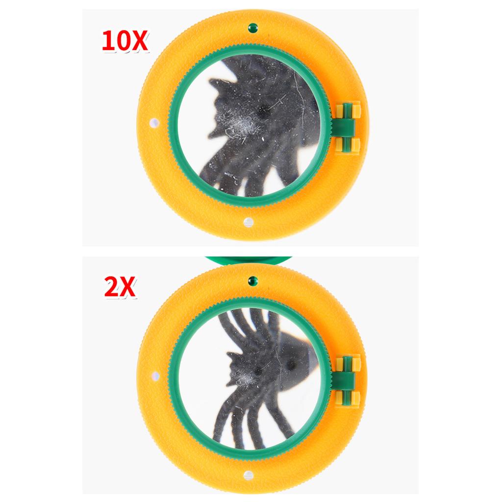 Kids Bug Catching Box with Magnification Foldable Insect Observation Insect Container for School Classroom Exploration