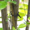 Garden Wire Sheathed Flexible Binding Wire Garden Wire Tie Flower Wire Soft Binding Wire Garden Plant Tie Wire Support
