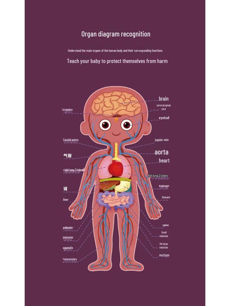 Cartoon Body Puzzle: Fun Educational Toy for Children's Cognitive and Concentration Development