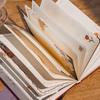 Exquisite Rose Diary: Artistic Japanese Notebook