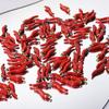 6 ks/šarže nerezové přívěsky červené chilli papričky pro výrobu šperků zeleninové smaltované přívěsky ručně vyráběné náušnice