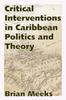 Książka Critical Interventions In Caribbean Politics and Theory