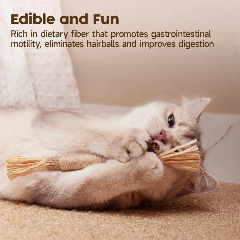 Cat Toys Silvervine Chew Stick Kitten Treat Catnip Toy Kitty Natural Stuff with Catnip for Cleaning Teeth Indoor Dental