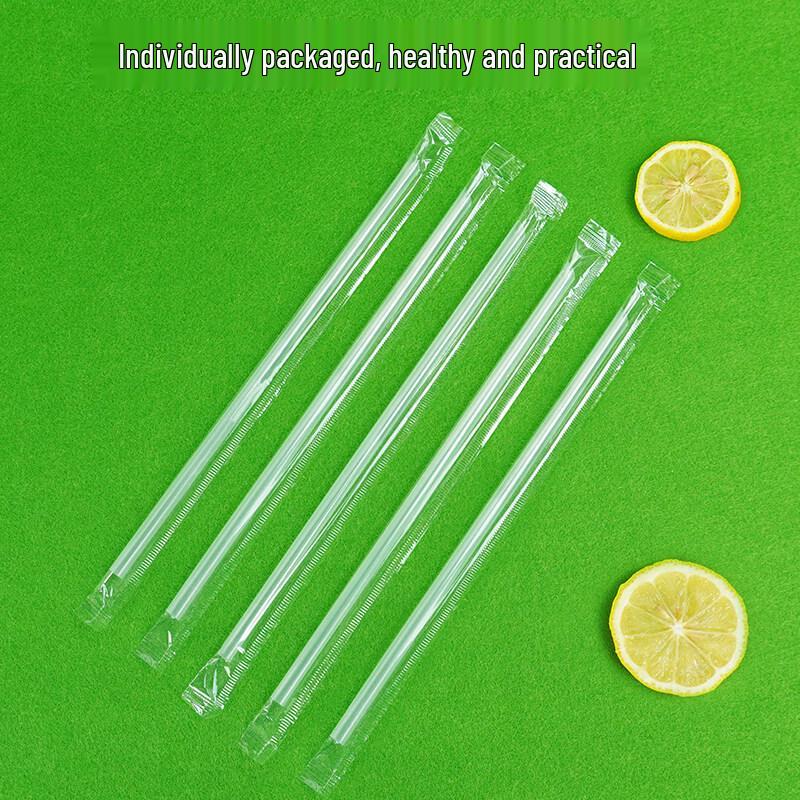 ZISIZ Disposable Plastic Straws