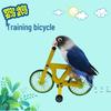 Parrot Bicycle Toy: Interactive Training Tool for Small Birds