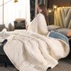 Winter Thicken Blanket Warm Lamb Fleece Blanket Soft Throw On Sofa Cover Bed Cover Double Sided Solid Color Blankets Bedspread
