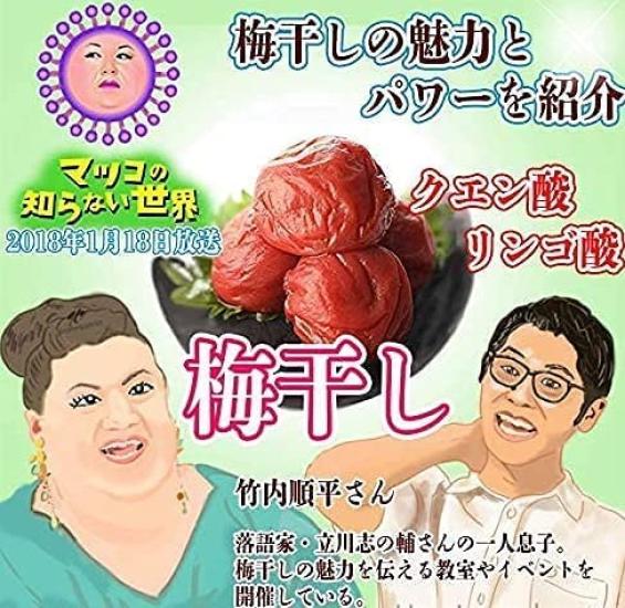 Toyama Shoji Retro Ume with seeds 250g x 2 bags Okinawa souvenir