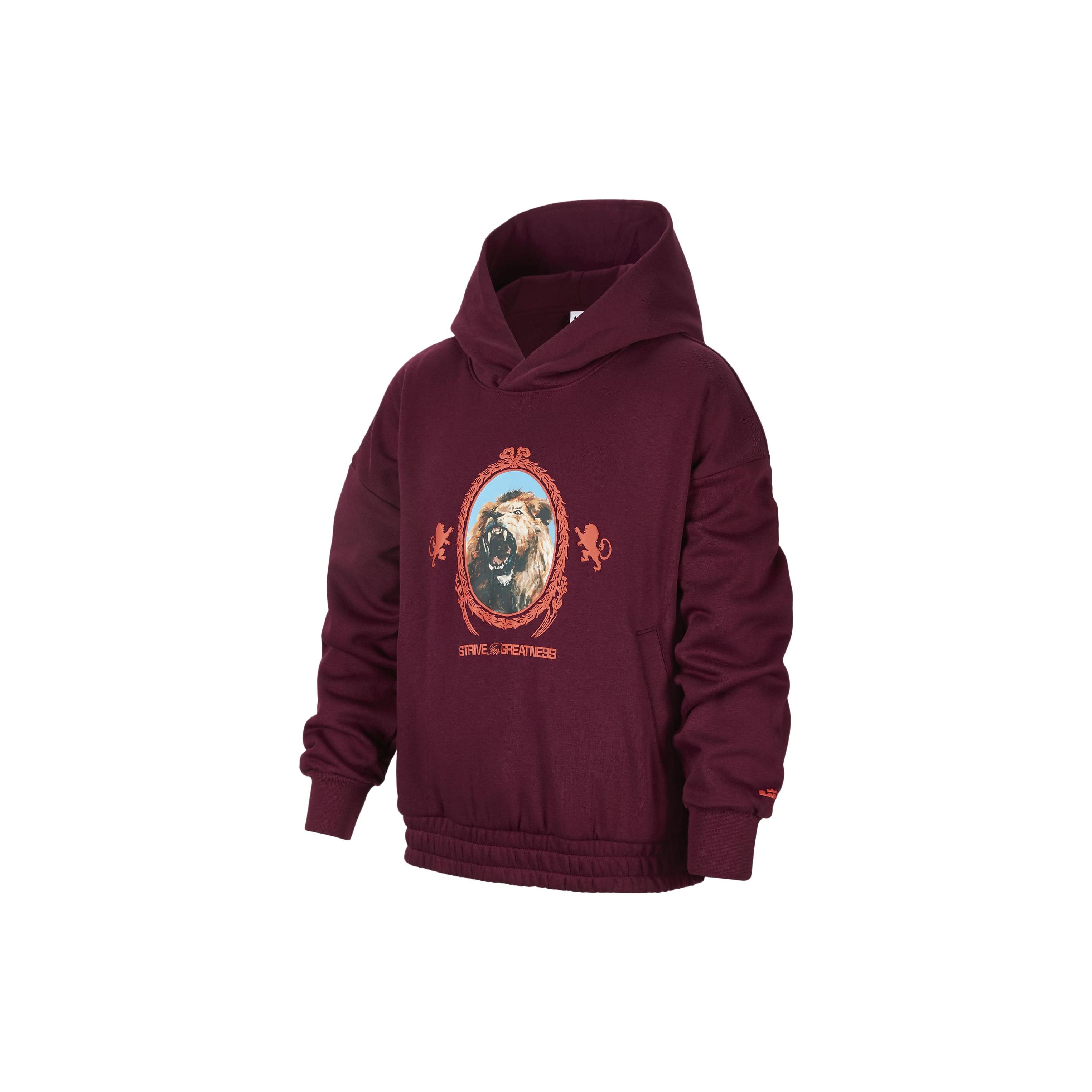 

Nike LeBron Printed Hooded Casual Long Sleeve Sweatshirt Kids Sweatshirt Track-Red FJ6065-610 M