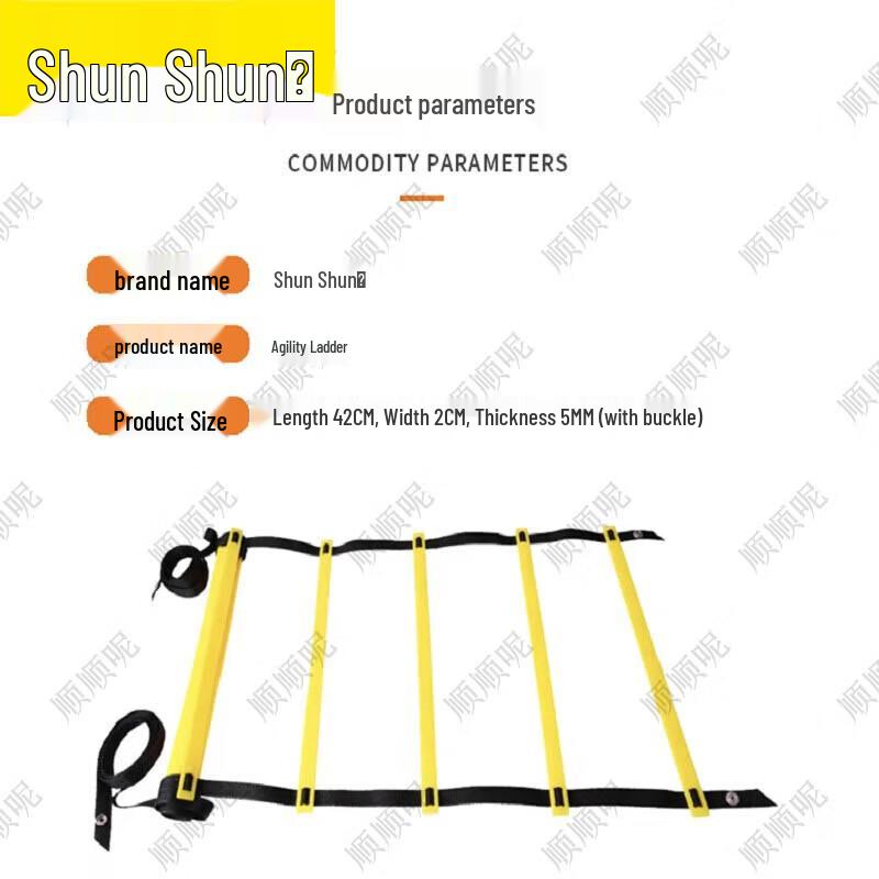 Agility Training Ladder