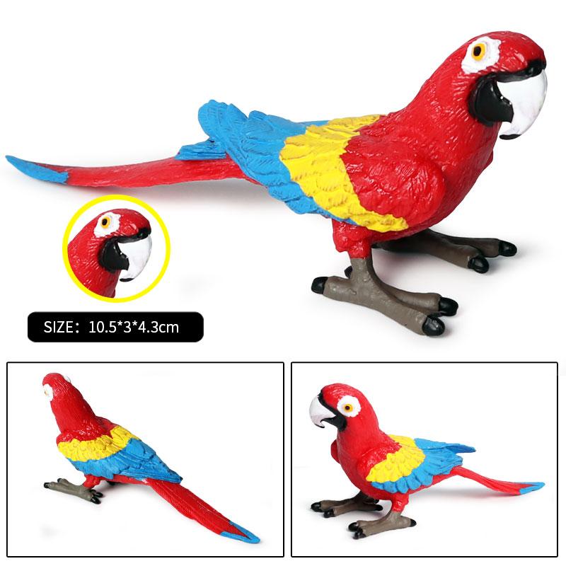 Oenux Bird Forest Animal Parrot Macaw Cockatiel Cockatoo Agapornis Puffin Model Solid PVC Garden Decoration Education Kids Toy