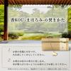Iasive Sandalwood Natural Low from a Kyoto Incense Comes In a Paulownia Wood 100 Sticks Incense, Aroma, Smoke, Long-Established Store, Box,