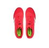Футбольные кроссовки adidas Predator Club Indoor Sala