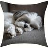 1/4pcs Cute Shih Tzu Sleeping Pattern Pillowcases Sofa Cushion Cover Home Bedroom Room Decoration