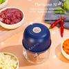 Mini Electric Garlic Crush