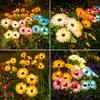 Solar Powered Daisy Flower Garden Lights Outdoor Waterproof Landscape Lawn Decorative Lighting with Stake for Yard Patio Pathway