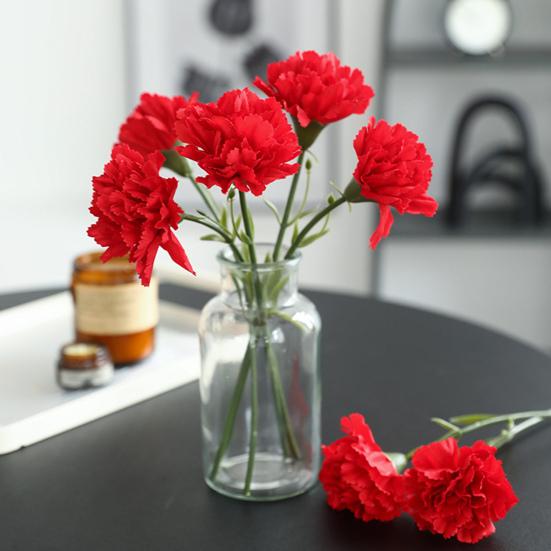 6Pcs Faux Silk Flower Material Artificial Carnation Flower Realistic No Watering Anti-fade Fake Flower DIY Gift Mother Day Adult Sex Wear