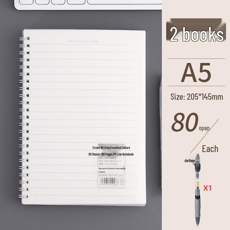 Student Notebook Set: A5 & B5 Thick Ruled Notebooks with Pocket Notepad