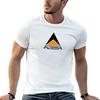 Alterra Logo (Transparent Background) T-Shirt vintage clothes summer tops sweat shirts tshirts for