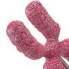 x Chromosome Model,Human Meiosis Submicroscopic Structure Organelle for Medical
