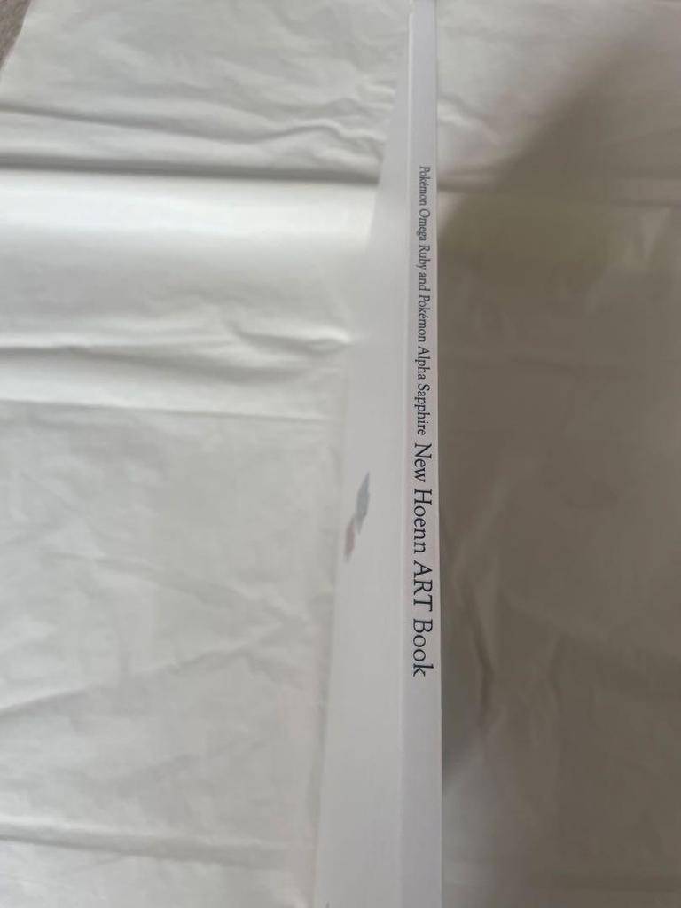 [USED] New Hoenn ART Book Pokémon Art Book Hoenn