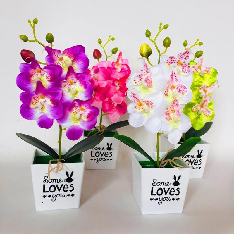 Love Pot Phalaenopsis Potted Green Plant Decorations For Home Decor Ideas Gift