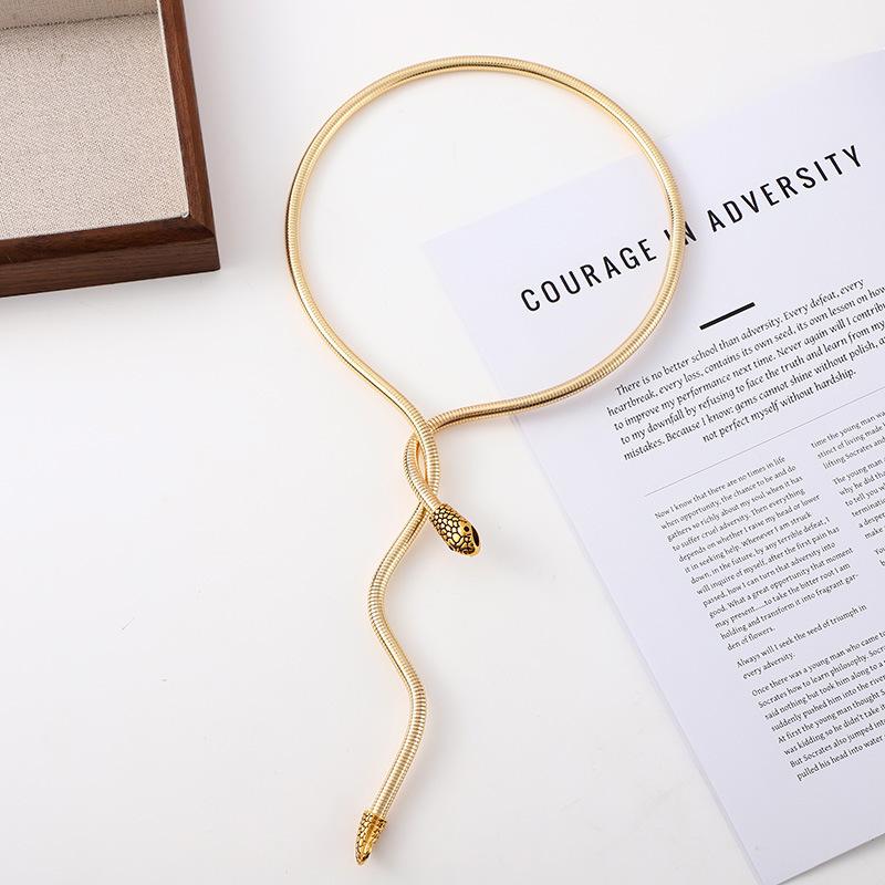 Winding Spirit Snake-Shaped Exaggerated Collar Design Sense Personalized Necklace Exotic Ethnic Style Bracelet Light Luxury High-End Sense Necklace