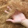 1 Bag Natural Coconut Fiber Nesting Mat Reusable Breathable Bird Nest Pad for Pigeon Chicken Parrot Pet Nesting Supply