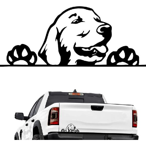 Funny Car Sticker, Waterproof Vinyl Anime Decal, Computer Truck Sports Car Motorcycle Decoration (Black)