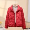 Retro short stand-up collar small women's down jacket fashionable casual warm white duck down jacket autumn and winter new products