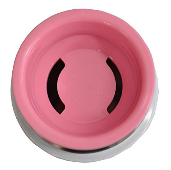 Skater Slim Stainless Steel Mug SMD2 Bottle, 220ml, Parfum,