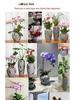 35CM Blue and White Porcelain Vase: Chinese-Style Ceramic Flower Container for Hydroponic Bamboo or Living Room Décor.