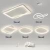 Modern Minimalist Ceiling Light Package with Smart Home Integration for Whole House