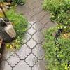 2Pcs/Set Plastic Stepping Stone Paver 30cm Concrete Path Maker Mold  For Lawn Patio Yard Garden