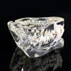 Educational Dog Tooth Model Transparent Cat Clear Typodont Dental Teaching Canine  Office