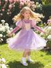 Elsa Princess Dress for Girls - Spring/Autumn Birthday Puffy Skirt