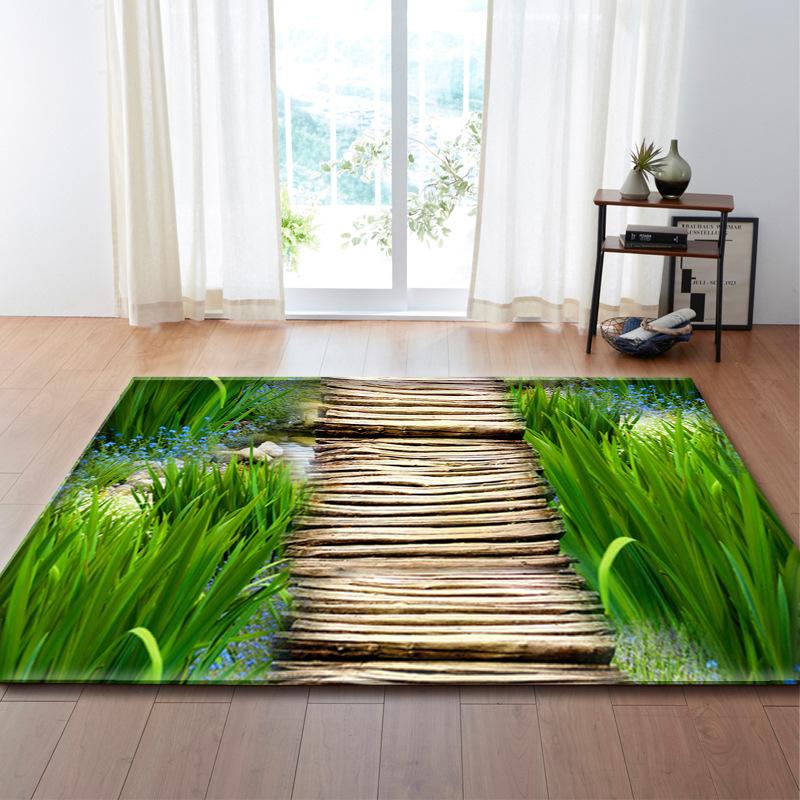 3D Three-Dimensional Painting Living Room Carpet Bedroom Floor Mat