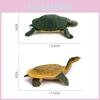 Realistic Pvc Turtle Figurine With Static Design For Aquarium Decor